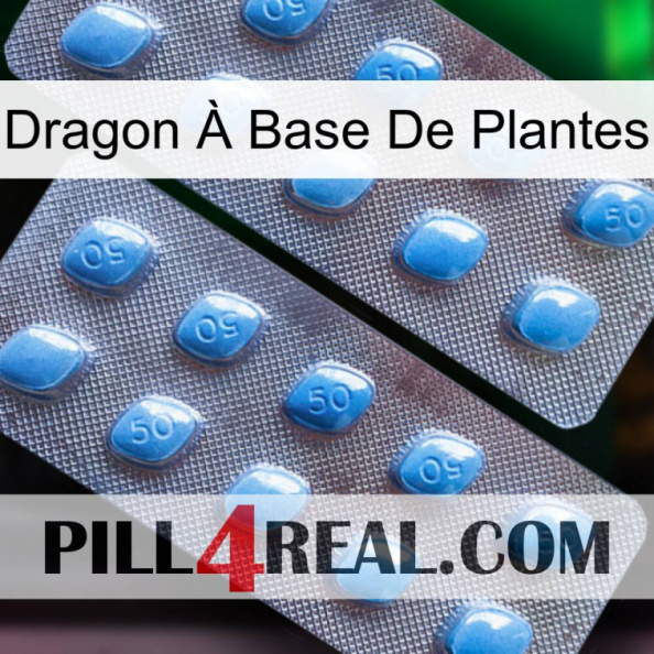Dragon À Base De Plantes viagra4